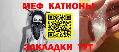 шишки Дубна