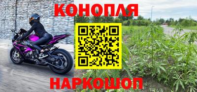шишки Дубна
