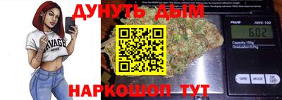 шишки Дубна