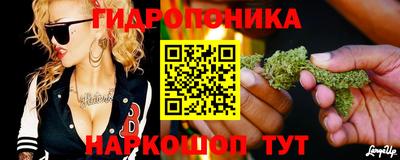 шишки Дубна