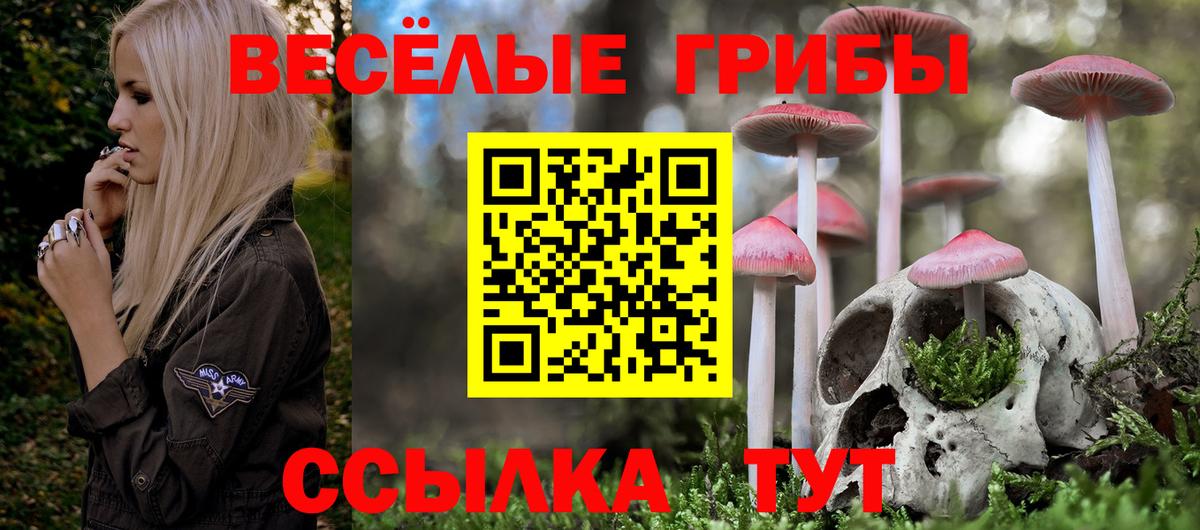 Псилоцибиновые грибы мухоморы Югорск