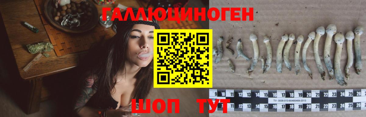 Галлюциногенные грибы GOLDEN TEACHER  Псилоцибиновые грибы мицелий  наркошоп  Югорск  Вход с VPN 