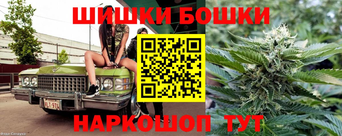 Конопля сатива Югорск